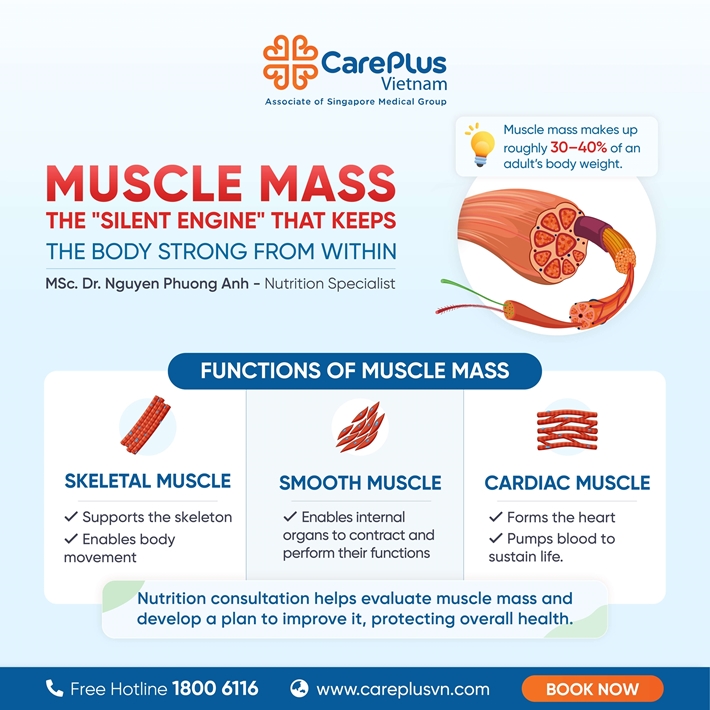 MUSCLE MASS – THE "SILENT ENGINE" THAT KEEPS THE BODY STRONG FROM WITHIN 
