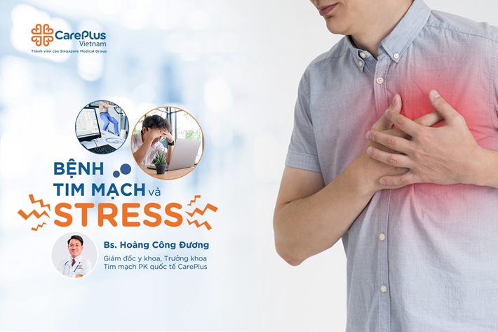 Stress có phải là nguyên nhân gây ra bệnh tim mạch?