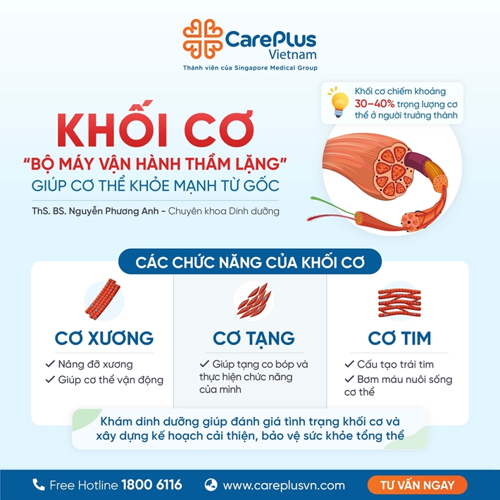 TÌM HIỂU VỀ KHỐI CƠ – “BỘ MÁY VẬN HÀNH THẦM LẶNG” GIÚP CƠ THỂ KHỎE MẠNH TỪ GỐC