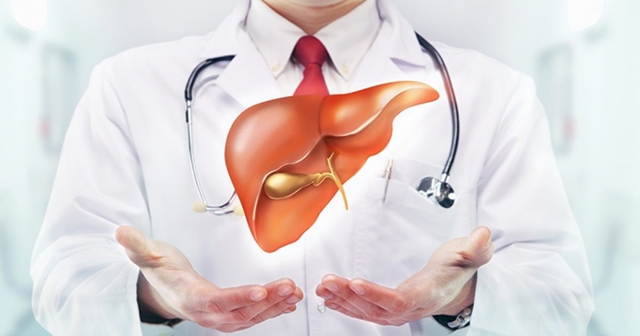 Who should take a regular liver check-up?